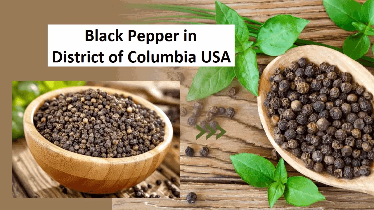 Black Pepper in District of Columbia USA